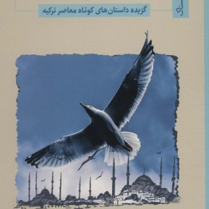 داستان از این قرار است
