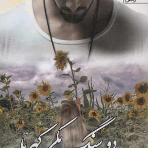 دو سنگ یکی کهربا