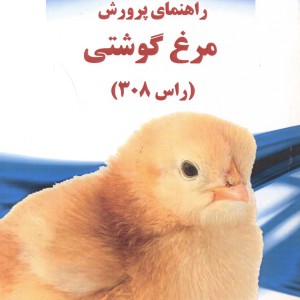 راهنمای پرورش مرغ گوشتی