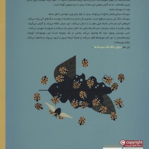 دنیای رنگارنگ سوسک ها