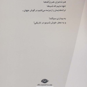 نیم رخ تابستان