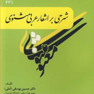 کتاب شرحی بر اشعار عربی مثنوی