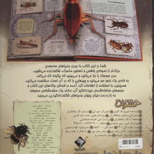 کتاب برجسته حشرات