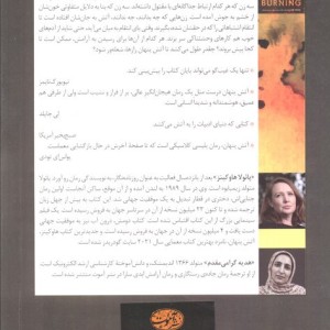 آتش پنهان - پائولا هاوکینز