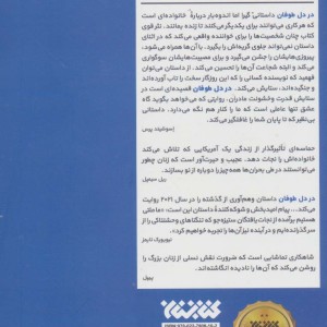 در دل طوفان