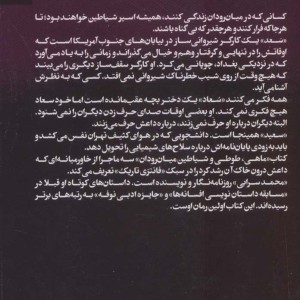 ماهی طوطی و شیاطین میان رودان
