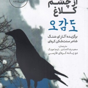 دنیا از چشم کلاغ