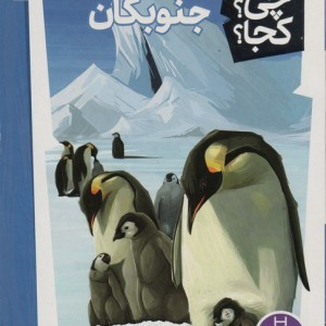 کی؟چی؟کجا؟ 6
