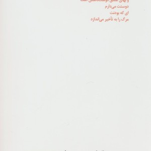 دوری مثل آخرین طبقه از پازل شعر امروز 116