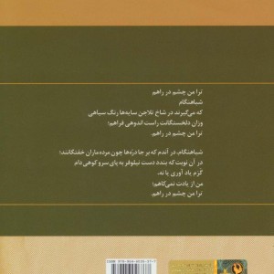 گزینه اشعار نیما یوشیج قطع رقعی