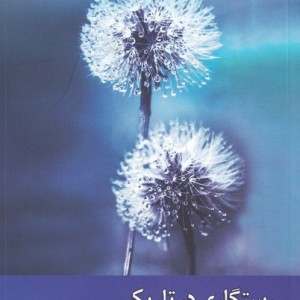 رستگاری در تاریکی - جوئل اوستین