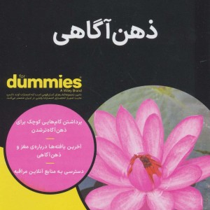 ذهن آگاهی نشر آوند دانش - شاماش آلیدینا