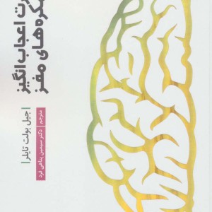 قدرت اعجاب انگیز نیمکره های مغز