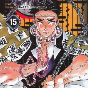 مجموعه مانگا DEMON SLAYER 15