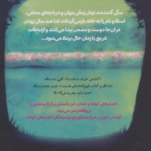 دریاچه مخفی نشر سایه گستر