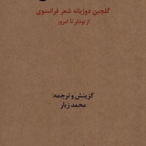کیمیای سخن