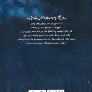 گربه سیزدهم