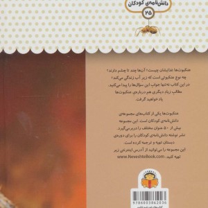 یک فنجان دانستنی درباره عنکبوت ها نشر نوشته