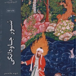 شور جاودانگی - دیوید چایدستر