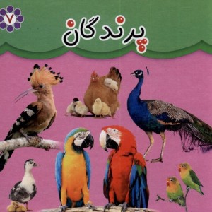 پرندگان نشر گوهر اندیشه