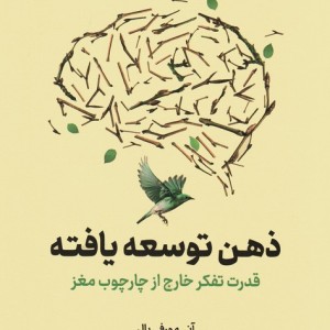ذهن توسعه یافته