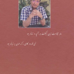 نهانکده ی دل