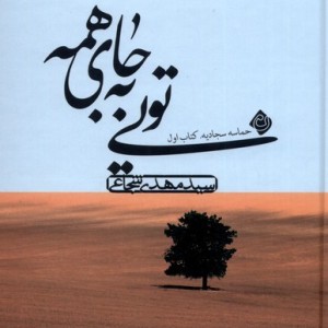 کتاب تویی به جای همه اثر سید مهدی شجاعی