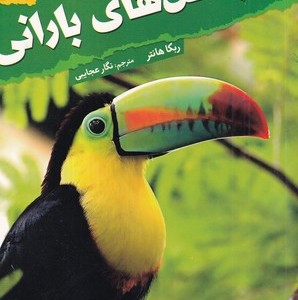 جنگل های بارانی