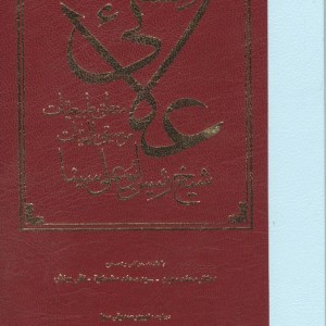 دانشنامه علائی