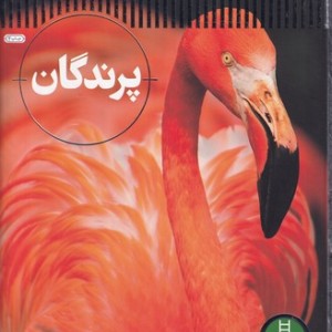 هنر و عکاسی