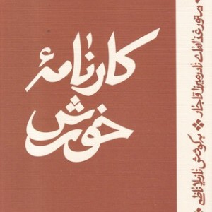 بانوی طبقه بالا