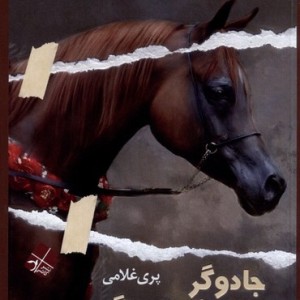 جادوگر پارک کوهسنگی