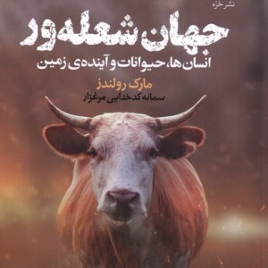 جهان شعله ور