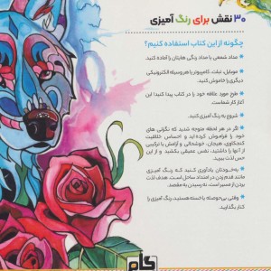 کتاب گرگ خاسترینقش هایی برای رهایی از استرس و رسیدن به آرامش