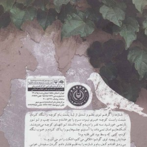 زمستان بی شازده