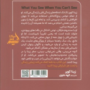 آنچه می بینی وقتی نمی توانی ببینی