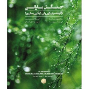 کتاب جنگل بارانی چگونه سیلیکون ولی دیگری بسازیم