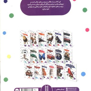 پرندگان آمریکای شمالی