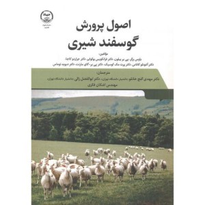 اصول پرورش گوسفند شیری