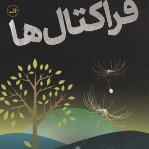 درآمدی تصویری بر فراکتال ها
