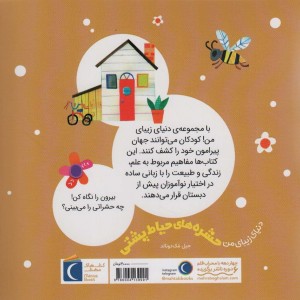 حشره های حیاط پشتی