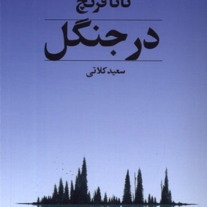 در جنگل مجموعه ی جوخه ی قتل دوبلین تندیس