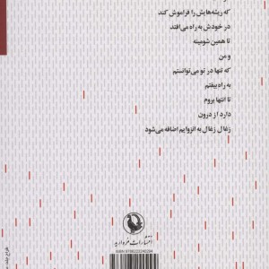 نا به جایی شمیز،رقعی،مروارید