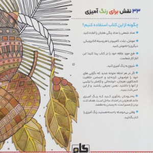 کتاب روح جنگلنقش هایی برای رهایی از استرس و رسیدن به آرامش رنگ آمیزی برای بزرگسالان