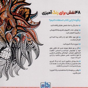 کتاب رنگ آمیزی برای بزگسالان جنگل حیوانات