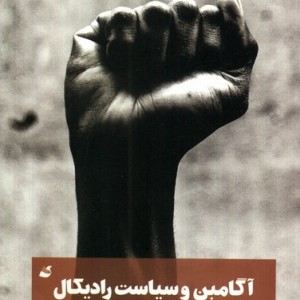 آگامبن و سیاست رادیکال شمیز،پالتویی،آده - دنیل مک لافلین