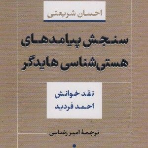 سنجش پیامدهای هستی شناسی هایدگر