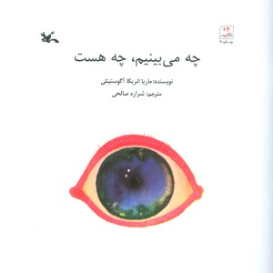 چه می بینم چه هست