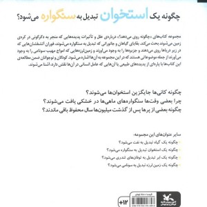 چگونه یک استخوان تبدیل به سنگواره می شود؟