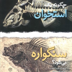 چگونه یک استخوان تبدیل به سنگواره می شود؟